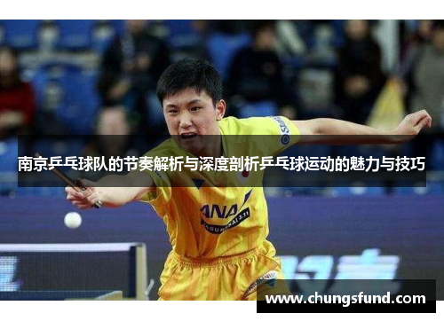 南京乒乓球队的节奏解析与深度剖析乒乓球运动的魅力与技巧