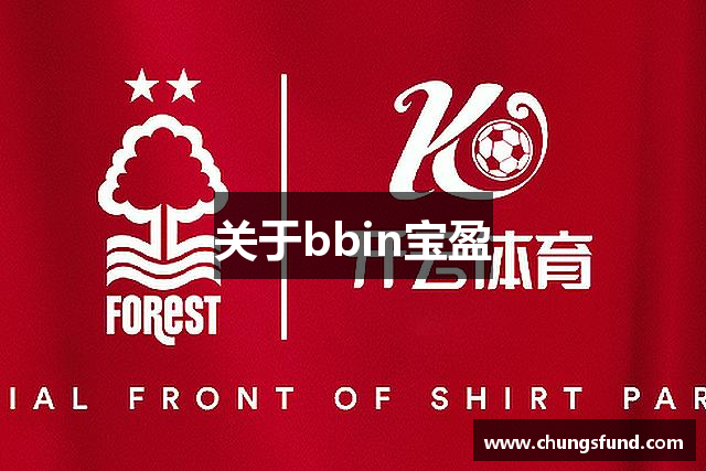 关于bbin宝盈